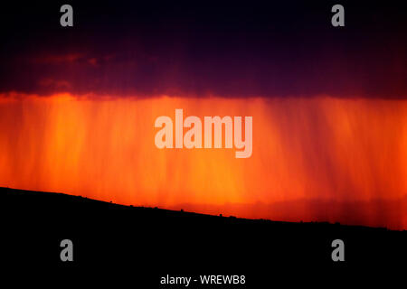 Orage du soir au coucher du soleil avec la pluie qui tombe dans la lumière du soleil orange et d'or Banque D'Images