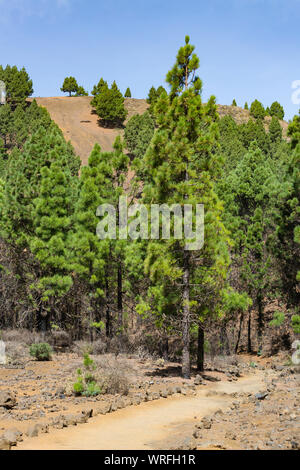 Parcours dans le paysage du volcan coloré le long de la Ruta de los Volcanes près de El Pilar de la Cumbre Vieja à La Palma, Espagne. Banque D'Images