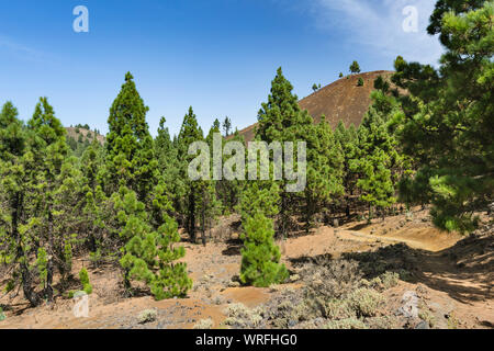 Parcours dans le paysage du volcan coloré le long de la Ruta de los Volcanes près de El Pilar de la Cumbre Vieja à La Palma, Espagne. Banque D'Images