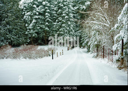 La neige a couvert une voie pays route bordée par la forêt dans les régions rurales de l'Oregon Banque D'Images
