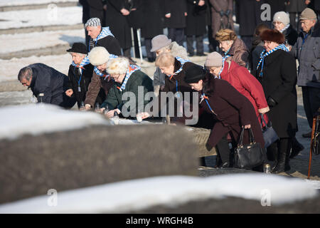 Auschwitz-Birkenau, en Pologne - 27 janvier 2017 : 72e anniversaire de la libération d'Auschwitz. D'anciens prisonniers d'Auschwitz au monument Banque D'Images