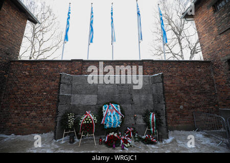 Auschwitz-Birkenau, en Pologne - 27 janvier 2016 : 71 anniversaire de la libération d'Auschwitz-Birkenau, des fleurs et des bougies par le mur de la mort Banque D'Images