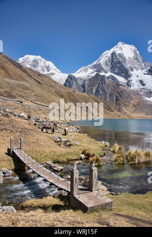 Camping à la Laguna Carhuacocha, Cordillera Huayhuash, Ancash, Pérou Banque D'Images