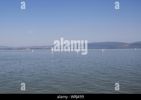 Nature Paysage du Danube et des voiliers journée d'été , l'est de la Serbie. Banque D'Images