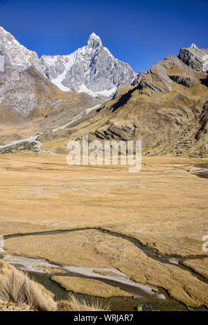 Paysages à la Laguna Carhuacocha, Cordillera Huayhuash, Ancash, Pérou Banque D'Images