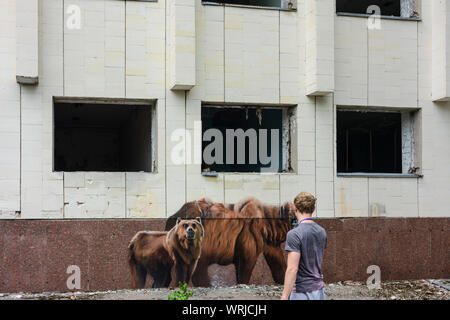 Pripyat (Prypiat) : des graffitis avec des ours à l'immeuble abandonné, touristiques à Tchernobyl (Zone d'exclusion de Tchernobyl), Kiev Kiev oblast, Ukraine Banque D'Images