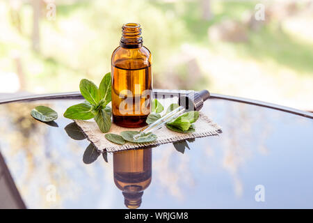 L'huile essentielle de menthe poivrée ou de l'infusion en bouteille pipette médicale brun avec des branches de menthe fraîche sur une table en verre, l'arrière-plan flou. Banque D'Images