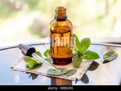 L'huile essentielle de menthe poivrée ou de l'infusion en bouteille pipette médicale brun avec des branches de menthe fraîche sur une table en verre, l'arrière-plan flou. Banque D'Images