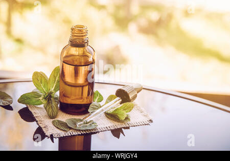 L'huile essentielle de menthe poivrée ou de l'infusion en bouteille pipette médicale brun avec des branches de menthe fraîche sur une table en verre, l'arrière-plan flou. Banque D'Images