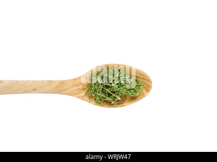 Vue supérieure de la heap de remède naturel à base de plantes appelé Equisetum arvense prêle des champs la prêle commune ou sur cuillère en bois isolé sur zone blanche Banque D'Images