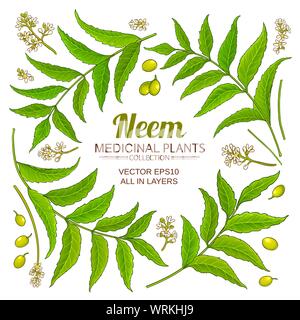 Éléments de neem vector set sur fond blanc Illustration de Vecteur