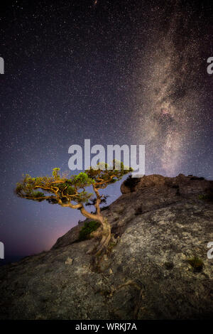 Un arbre isolé sur le rocher avec un profond ciel étoilé et Voie lactée au-dessus Banque D'Images