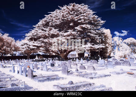 Cimetière fantasmagorique/cimetière cimetière/ Banque D'Images