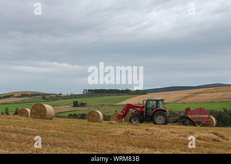 Un agriculteur de la mise en balles de paille dans un champ de la campagne Aberdeenshire après-midi sous un ciel couvert Banque D'Images