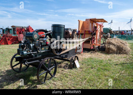 Blandford Dorset.forum.Royaume-Uni.24 août 2019.une batteuse est tirée par une antique machine à vapeur au great Dorset steam fair. Banque D'Images