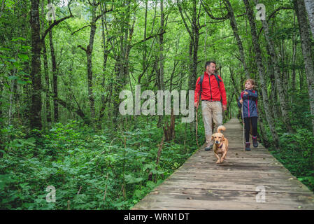 Père et fille avec petit chien jaune de la randonnée sur un sentier en forêt Banque D'Images