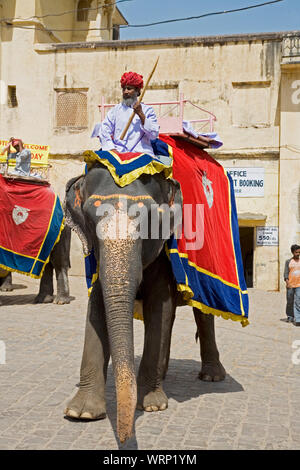 Le Rajasthan, Inde, le 2 septembre, 2019 Les éléphants sont utiliser pour amener'jusqu'à Fort Amber temple au Rajasthan Jaipur en Inde Banque D'Images