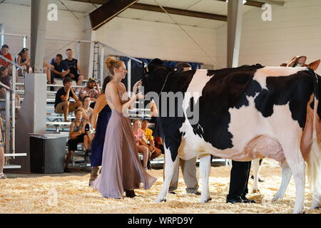 Fond du Lac concours bovins à Fond du Lac Parc des expositions 2019 Banque D'Images