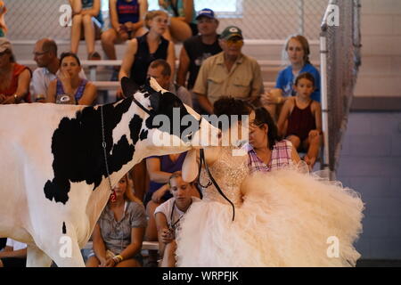Fond du Lac concours bovins à Fond du Lac Parc des expositions 2019 Banque D'Images