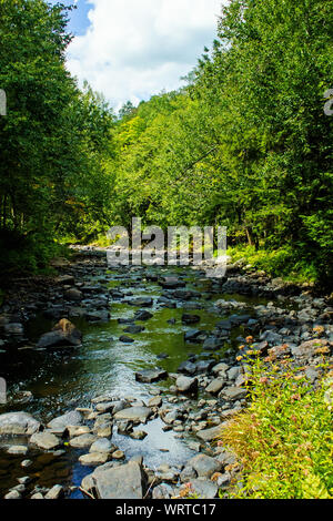 Diffuser dans les Adirondacks près de Saranac Lake NY USA Banque D'Images