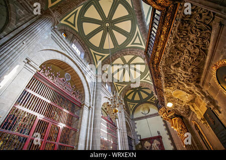 La ville de Mexico, Mexique-21 Août 2019 : Mexico City, Cathédrale Métropolitaine de l'Assomption de la Très Sainte Vierge Marie au ciel - un chat mexicain Banque D'Images