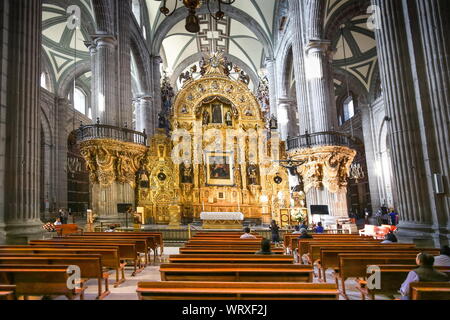 La ville de Mexico, Mexique-21 Août 2019 : Mexico City, Cathédrale Métropolitaine de l'Assomption de la Très Sainte Vierge Marie au ciel - un chat mexicain Banque D'Images