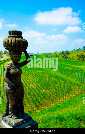 Rizières en terrasses de Jatiluwih - Bali - Indonésie Banque D'Images