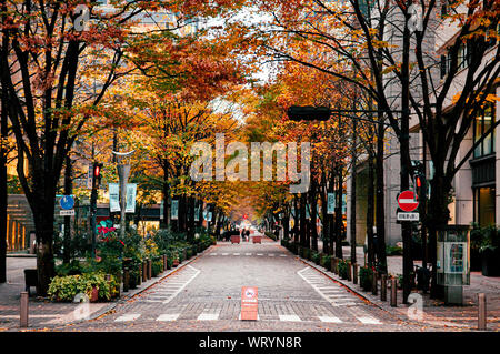 DEC 6, 2019 Tokyo, Japon - Quartier Marunouchi Nakadori tunnel d'arbres de rue au centre-ville de Tokyo à l'automne, avec arbre coloré Banque D'Images