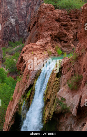 Havasu Falls - cascades bleu dans le Grand Canyon, Arizona Banque D'Images