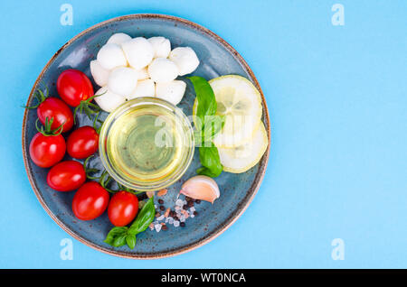 Ensemble de produits pour faire de Caprese. Studio Photo Banque D'Images