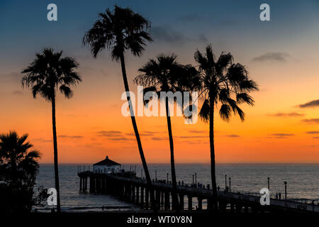 Palmiers sur Manhattan Beach au coucher du soleil à Los Angeles, Californie Banque D'Images