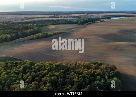 Lietzen, Allemagne. 10 Sep, 2019. La lumière du soir soleil projette de longues ombres sur le paysage agricole dans le district de territoire (vue aérienne avec un drone). Crédit : Patrick Pleul/dpa-Zentralbild/ZB/dpa/Alamy Live News Banque D'Images