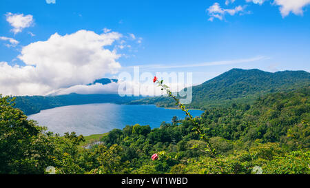 Belle vue sur le lac Danau Buyan, Bali, lieu touristique populaire Bedugul - village de montagne tropicales forêt tropicale. Vacances d'été les destinations de voyage Banque D'Images