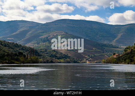 Vue panoramique sur le fleuve Douro et la vallée avec des vignobles en terrasses à proximité de la village de Pinhao, au Portugal. Banque D'Images