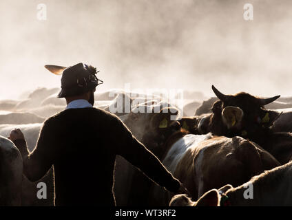 Bad Hindelang, Allemagne. Sep 11, 2019. Les vaches foule devant un conducteur en vêtements traditionnels. À l'abri du bétail à Bad Hindelang, environ 700 vaches sont repoussés dans la vallée par cinq Alpes. Credit : Lino Mirgeler/dpa/Alamy Live News Banque D'Images