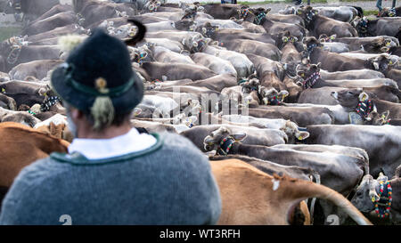 Bad Hindelang, Allemagne. Sep 11, 2019. Les vaches foule devant un conducteur en vêtements traditionnels. À l'abri du bétail à Bad Hindelang, environ 700 vaches sont repoussés dans la vallée par cinq Alpes. Credit : Lino Mirgeler/dpa/Alamy Live News Banque D'Images