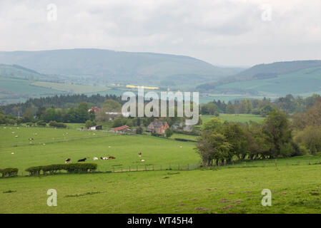 Journée de printemps près de Craven Arms dans les collines du Shropshire, Angleterre. Banque D'Images