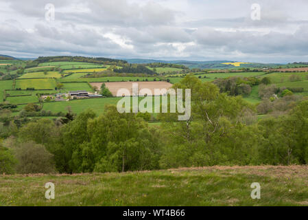 Journée de printemps à Hopesay Hill près de Craven Arms dans les collines du SHropshire, Angleterre. Banque D'Images