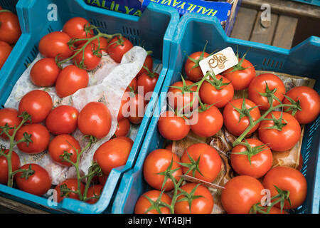 Des tomates pour la vente à l'épicerie en Allemagne Banque D'Images
