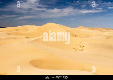 Grandes dunes du désert. De belles structures d'barkhans de sable. Bien pour les photographes et voyageurs. La Mongolie Banque D'Images