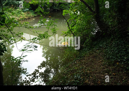 Un chariot de shopping et d'autres déchets plastiques dans une voie navigable de Buckingham, qui abrite différentes espèces de faune. Buckinghamshire, Angleterre. Banque D'Images