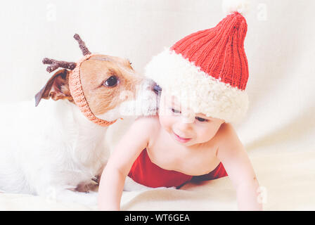 18-23chien kissing baby in santa claus costume Banque D'Images
