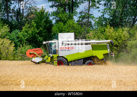La région de Kiev, Ukraine - Juillet 6, 2019 : 480 rendmt Lexion Claas moissonneuse batteuse au travail sur le champ de blé Banque D'Images
