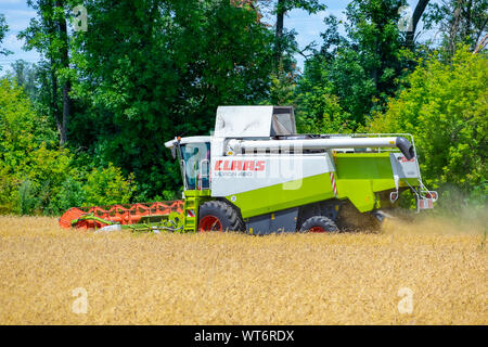 La région de Kiev, Ukraine - Juillet 6, 2019 : 480 rendmt Lexion Claas moissonneuse batteuse au travail sur le champ de blé Banque D'Images