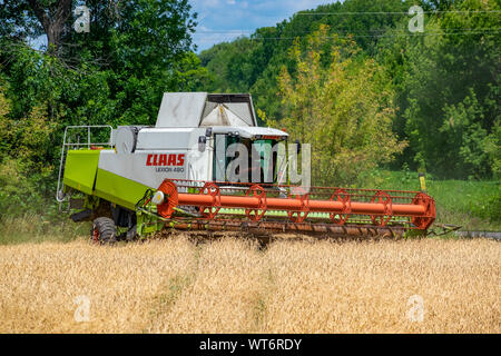 La région de Kiev, Ukraine - Juillet 6, 2019 : 480 rendmt Lexion Claas moissonneuse batteuse au travail sur le champ de blé Banque D'Images