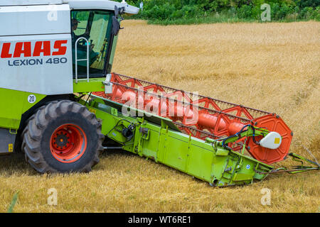 La région de Kiev, Ukraine - Juillet 6, 2019 : 480 rendmt Lexion Claas moissonneuse batteuse au travail sur le champ de blé Banque D'Images