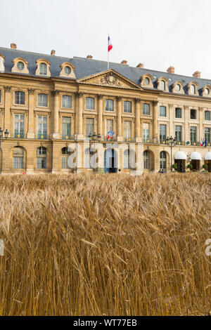 Un million d'épis de blé planté place Vendôme, PARIS Banque D'Images