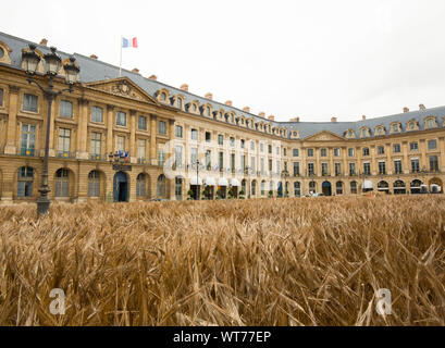 Un million d'épis de blé planté place Vendôme, PARIS Banque D'Images