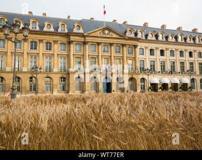 Un million d'épis de blé planté place Vendôme, PARIS Banque D'Images