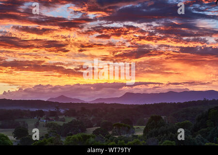 Les soleils la lumière se reflétant sur les nuages juste après le coucher du soleil au-dessus d'une forêt avec la Cordillère australienne dans l'arrière-plan pris de Repton, NSW, Australie Banque D'Images